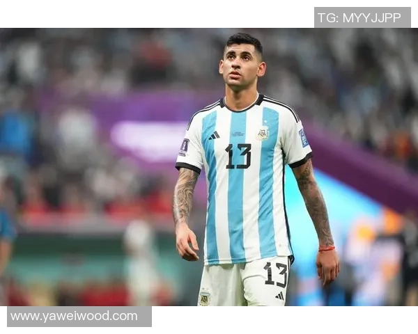 恩佐与罗梅罗重聚国家队兄弟情深共享马黛茶时光